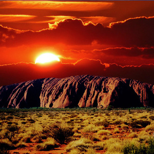 울룰루 필드 오브 라이트 스타 패스 Uluru Field of Light Star Pass