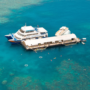 무어리프 선러버크루즈+피츠로이아일랜드 투어 Sunlover Reef Cruises